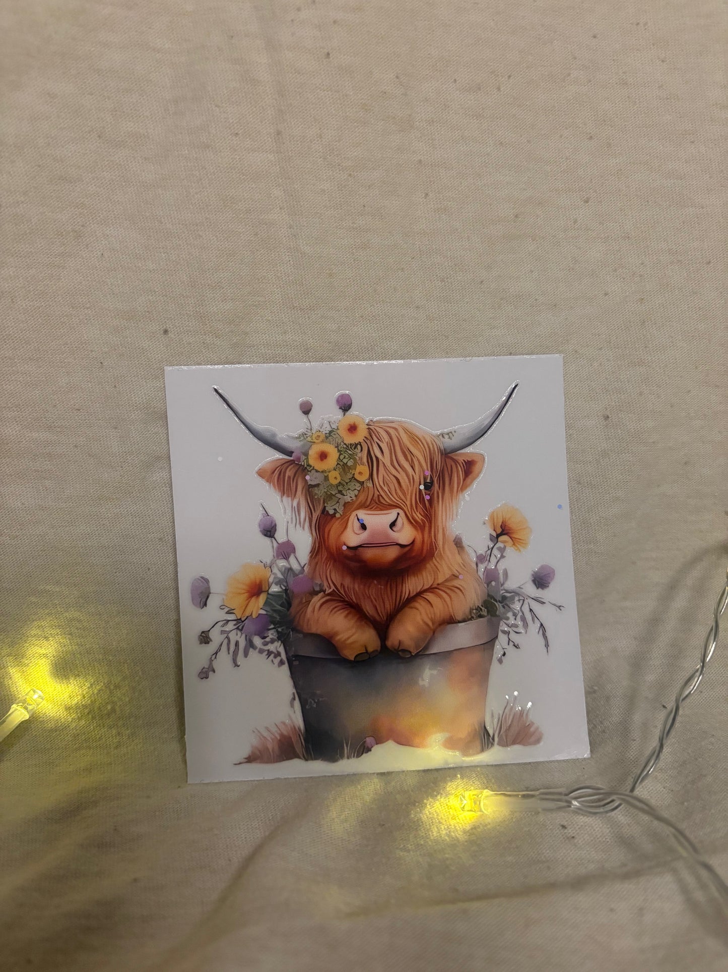 Highland cow decal #1