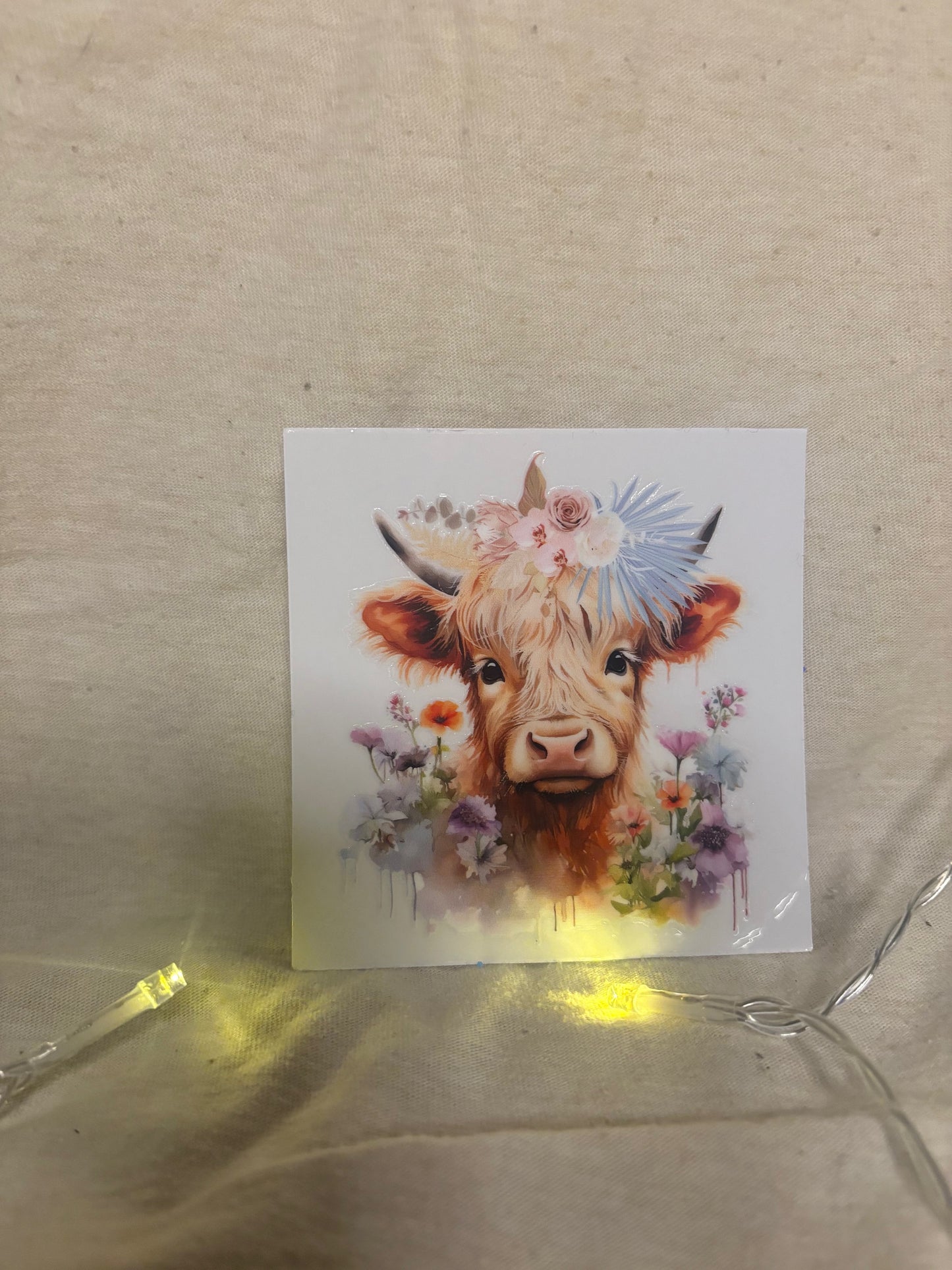 Highland cow decal #9