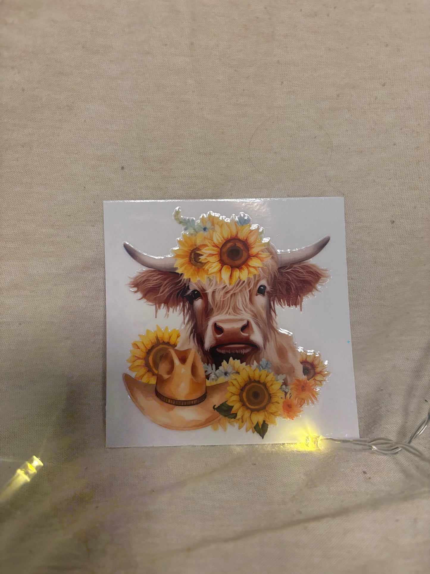 Highland cow decal #2