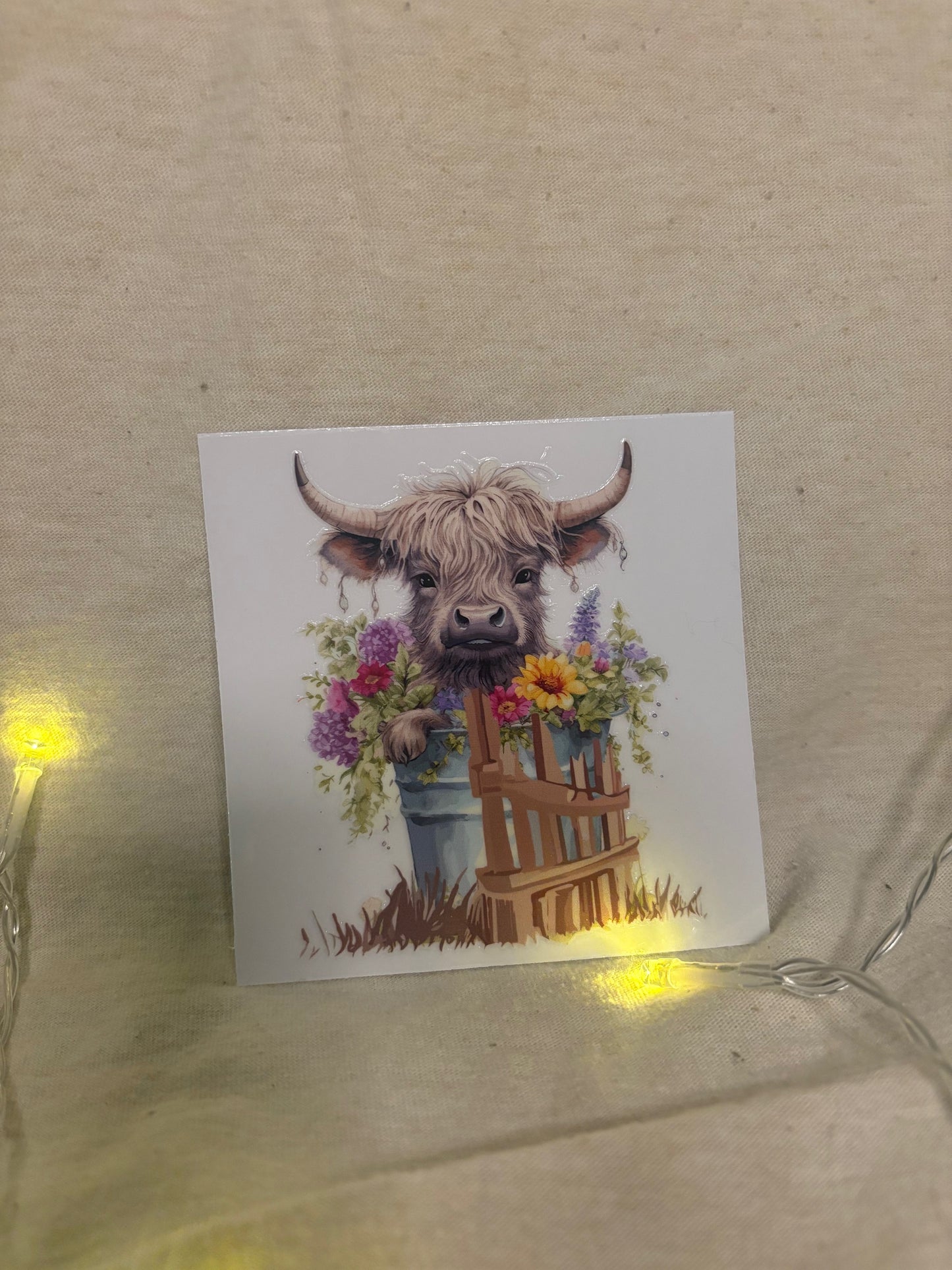 Highland cow decal #11