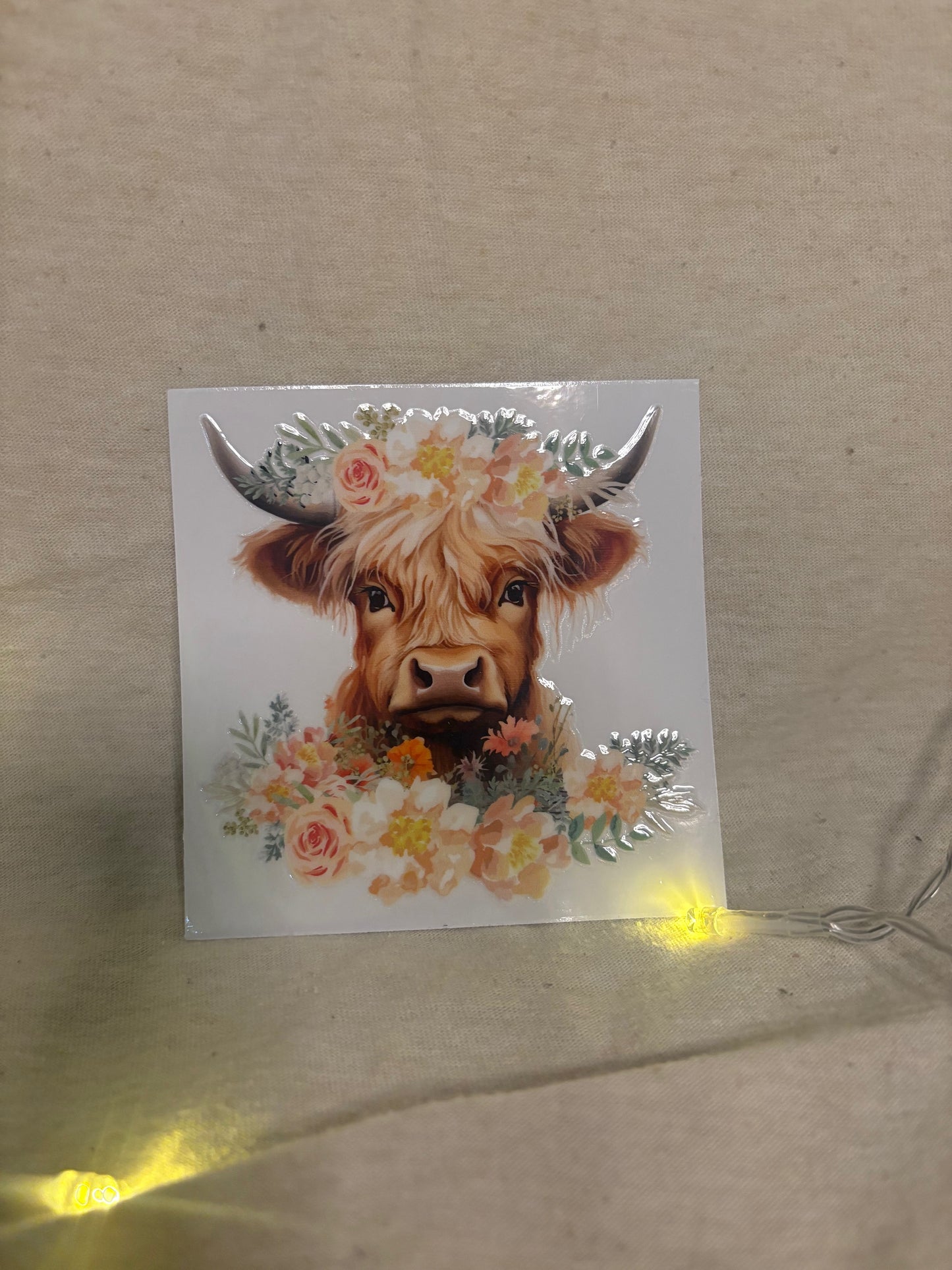 Highland cow decal #12